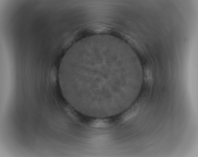 X0000113280664200909280953