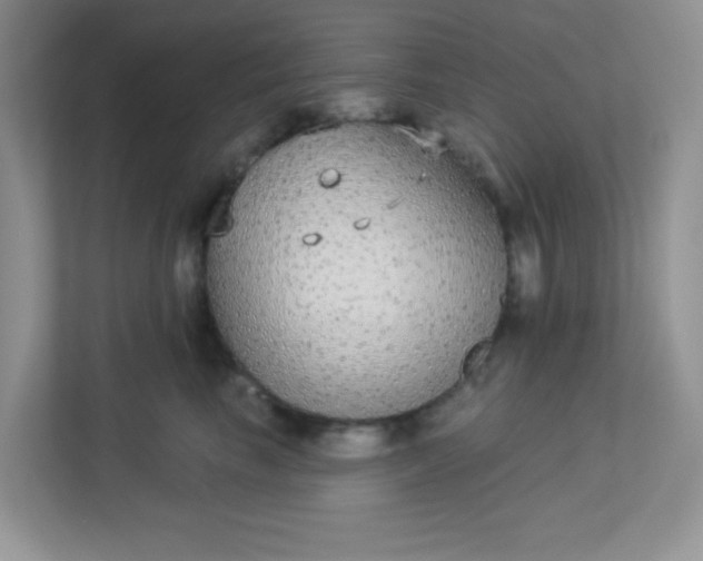 X0000113280665200909280953