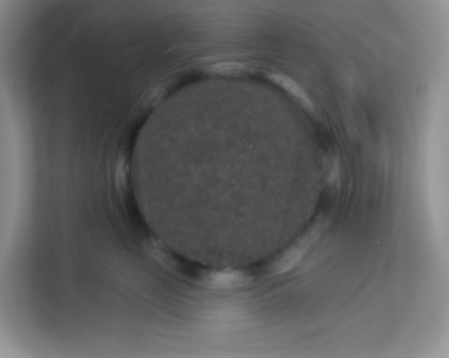 X0000113280669200909280953