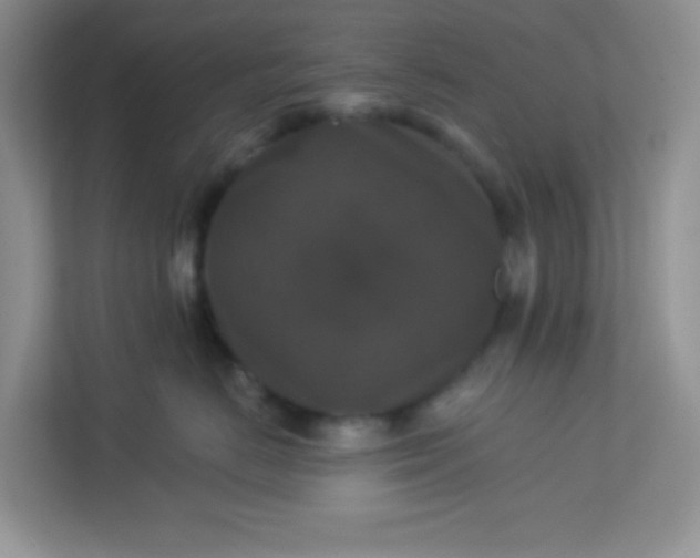 X0000113280670200909280953