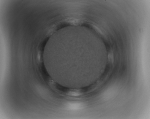 X0000113280671200909280953