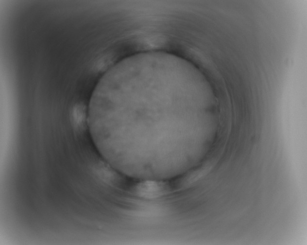 X0000113280672200909280953