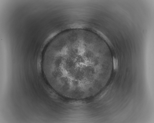 X0000113280675200909280952