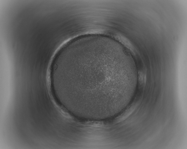 X0000113280676200909280952