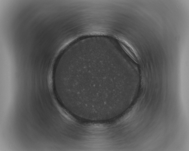 X0000113280677200909280952