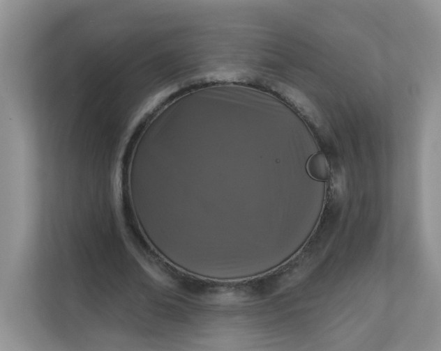 X0000113280678200909280952