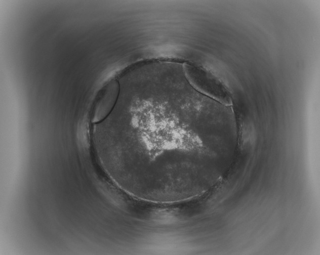 X0000113280680200909280952