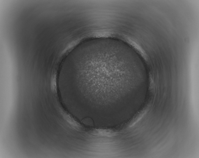 X0000113280681200909280952