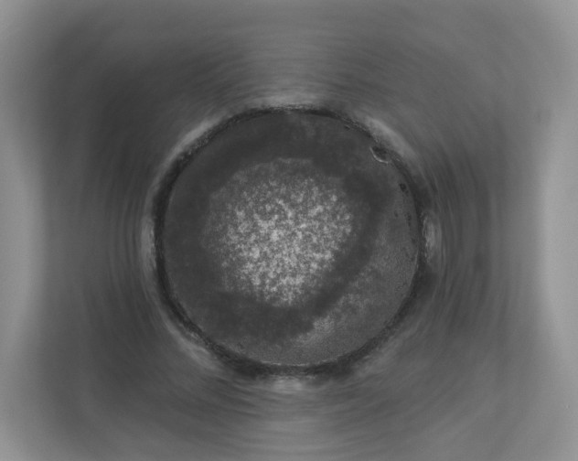 X0000113280684200909280952