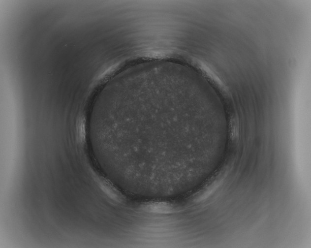 X0000113280685200909280952