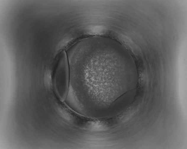 X0000113280688200909280952