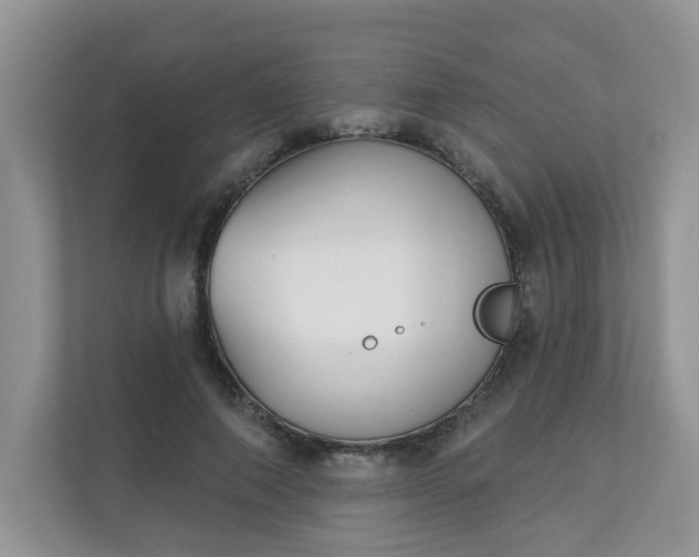 X0000113280690200909280952