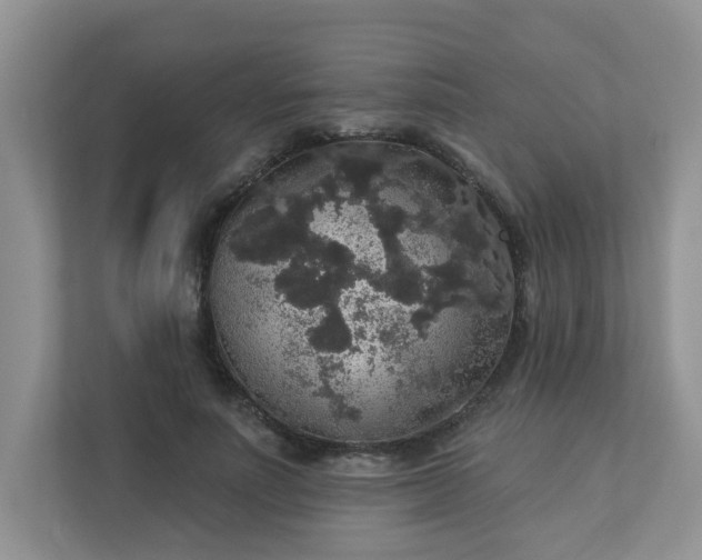 X0000113280691200909280952