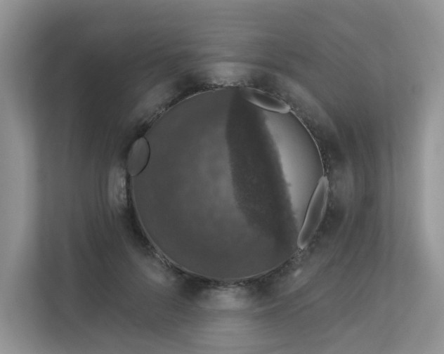 X0000113280696200909280952