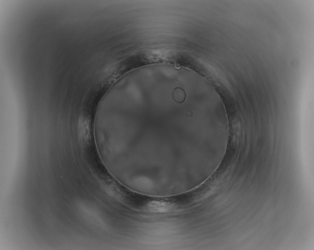 X0000113280699200909280952