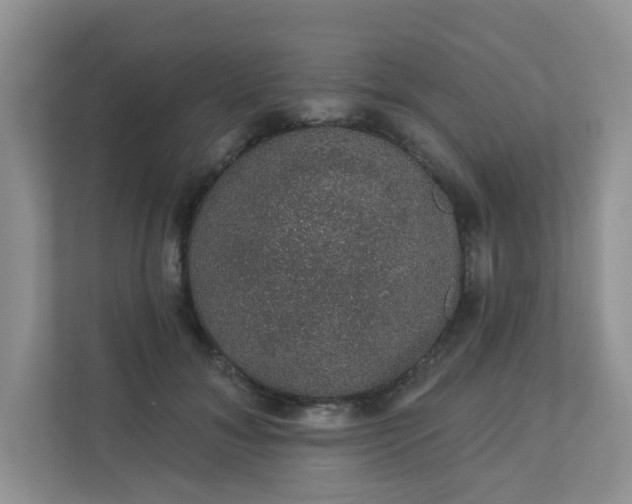 X0000113280700200909280952