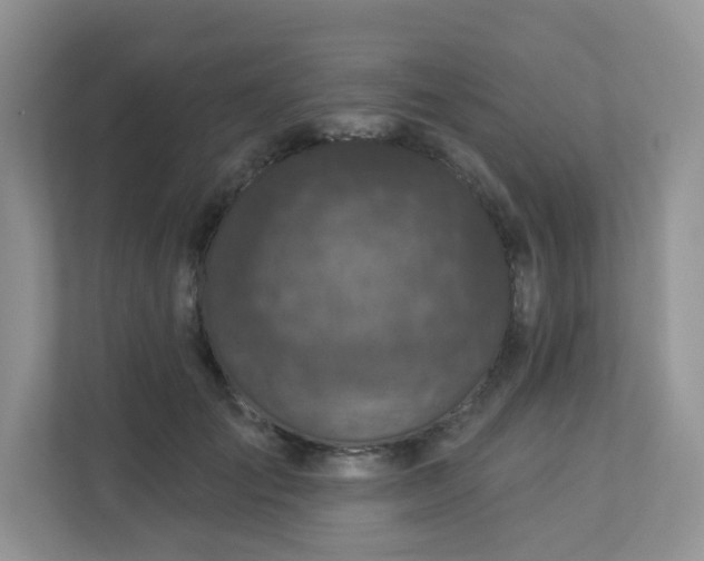 X0000113280701200909280952