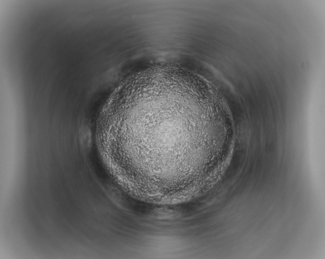 X0000113280703200909280952