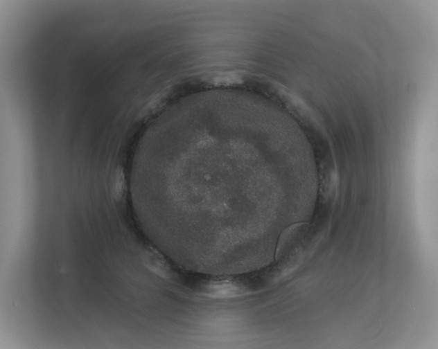 X0000113280704200909280952