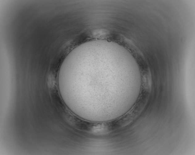 X0000113280705200909280952