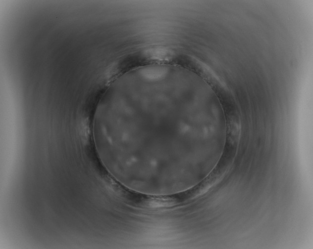 X0000113280707200909280952