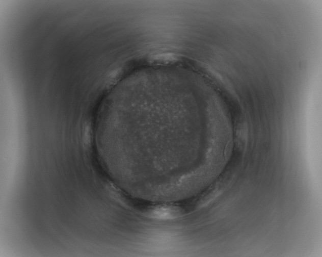 X0000113280708200909280952