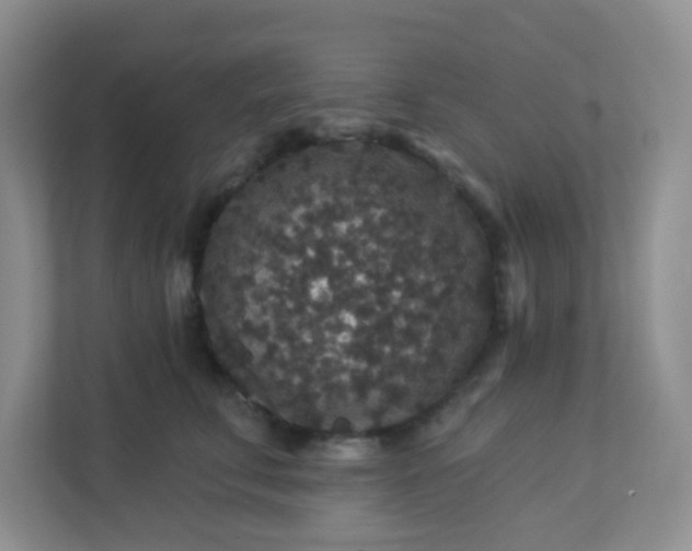 X0000113280711200909280952