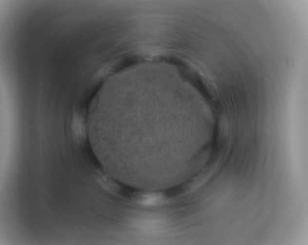 X0000113280719200909280952