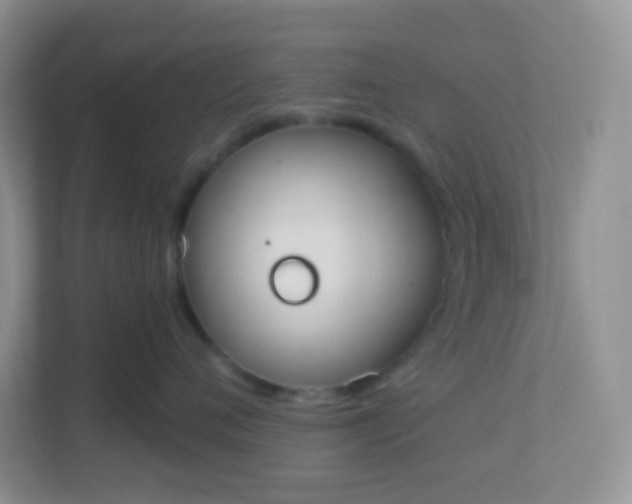 X0000113280720200909280952