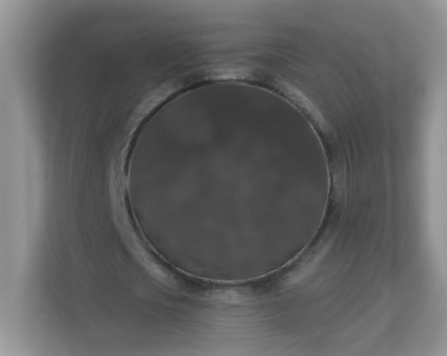 X0000113280721200909280951