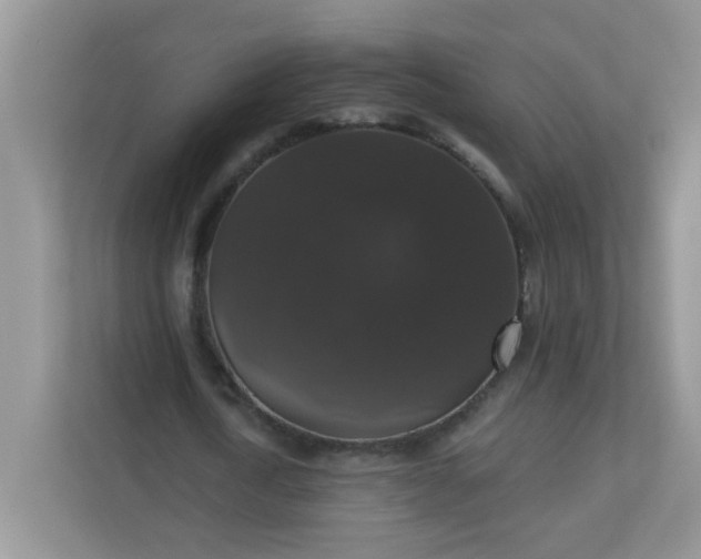 X0000113280722200909280951