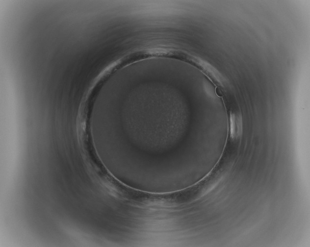 X0000113280723200909280951