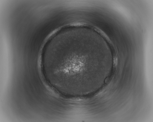 X0000113280724200909280951