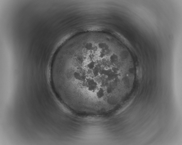 X0000113280725200909280951