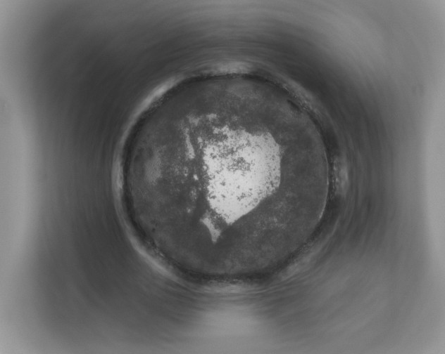 X0000113280726200909280951