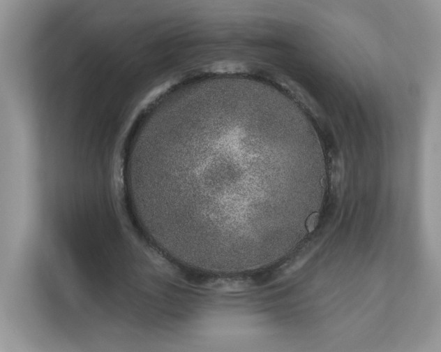 X0000113280727200909280951