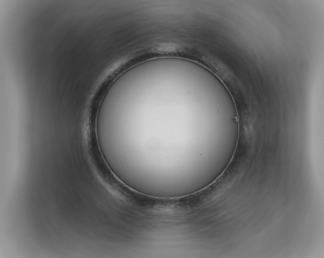 X0000113280728200909280951