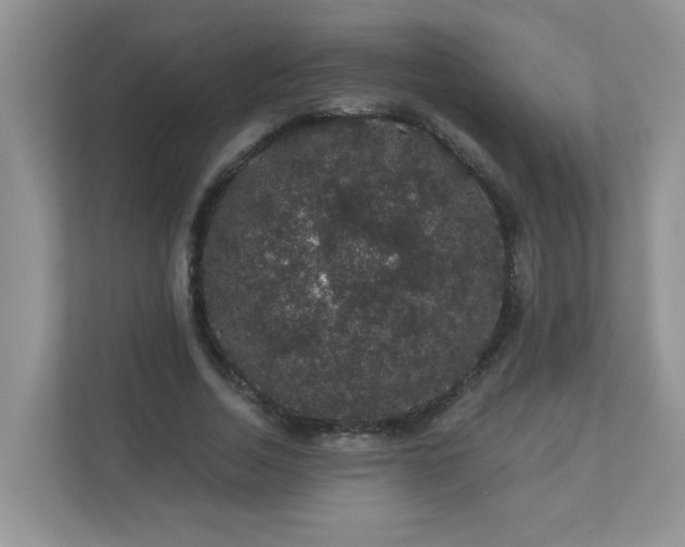 X0000113280730200909280951