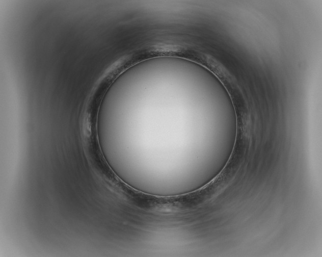 X0000113280731200909280951