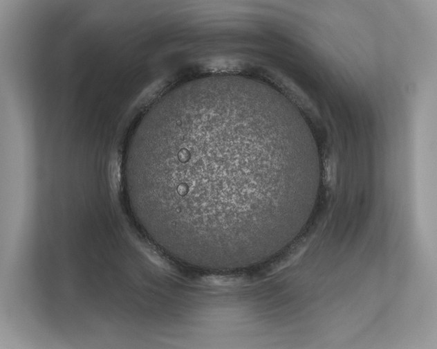 X0000113280733200909280951