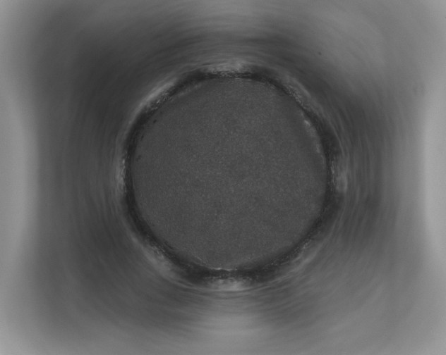 X0000113280735200909280951