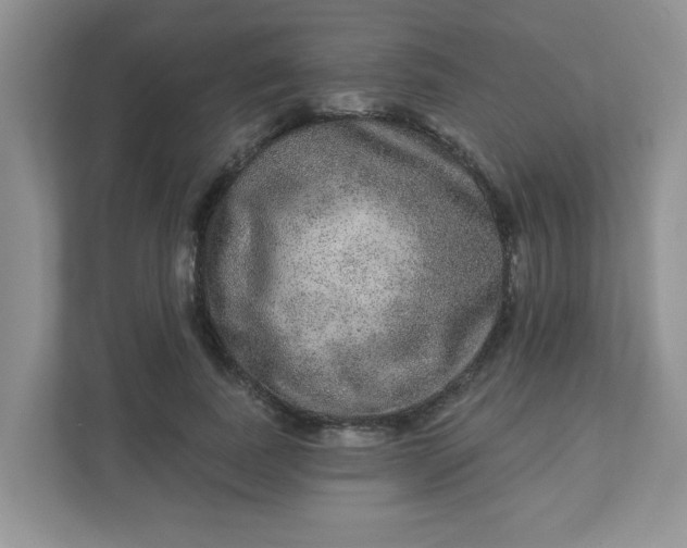 X0000113280739200909280951