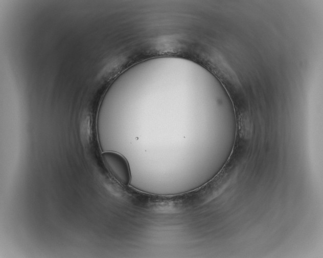 X0000113280740200909280951