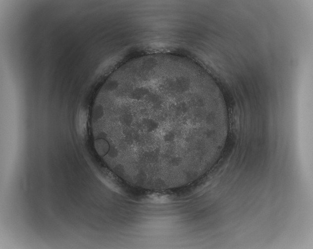 X0000113280742200909280951