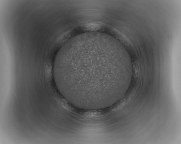 X0000113280745200909280951