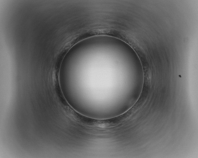 X0000113280746200909280951