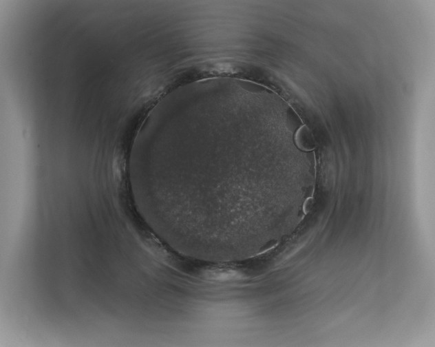 X0000113280747200909280951