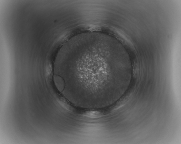 X0000113280748200909280951