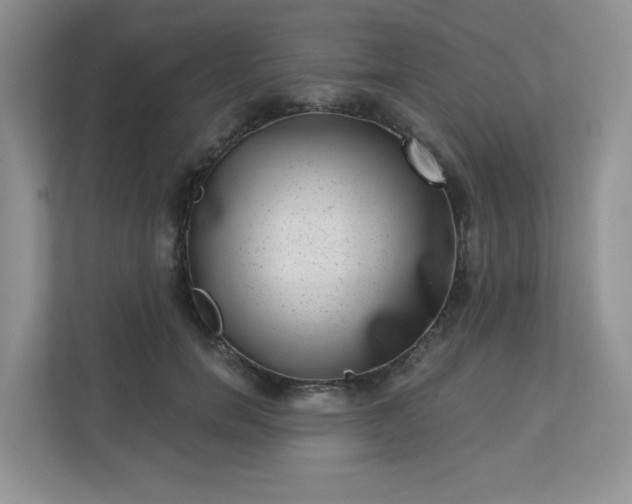 X0000113280750200909280951