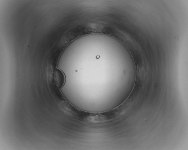 X0000113280752200909280951